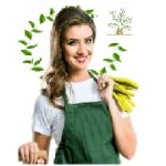 Profile picture of sweet voice landscaping